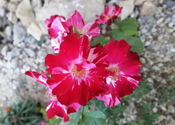 Πανσιόν La Parenthese 3*